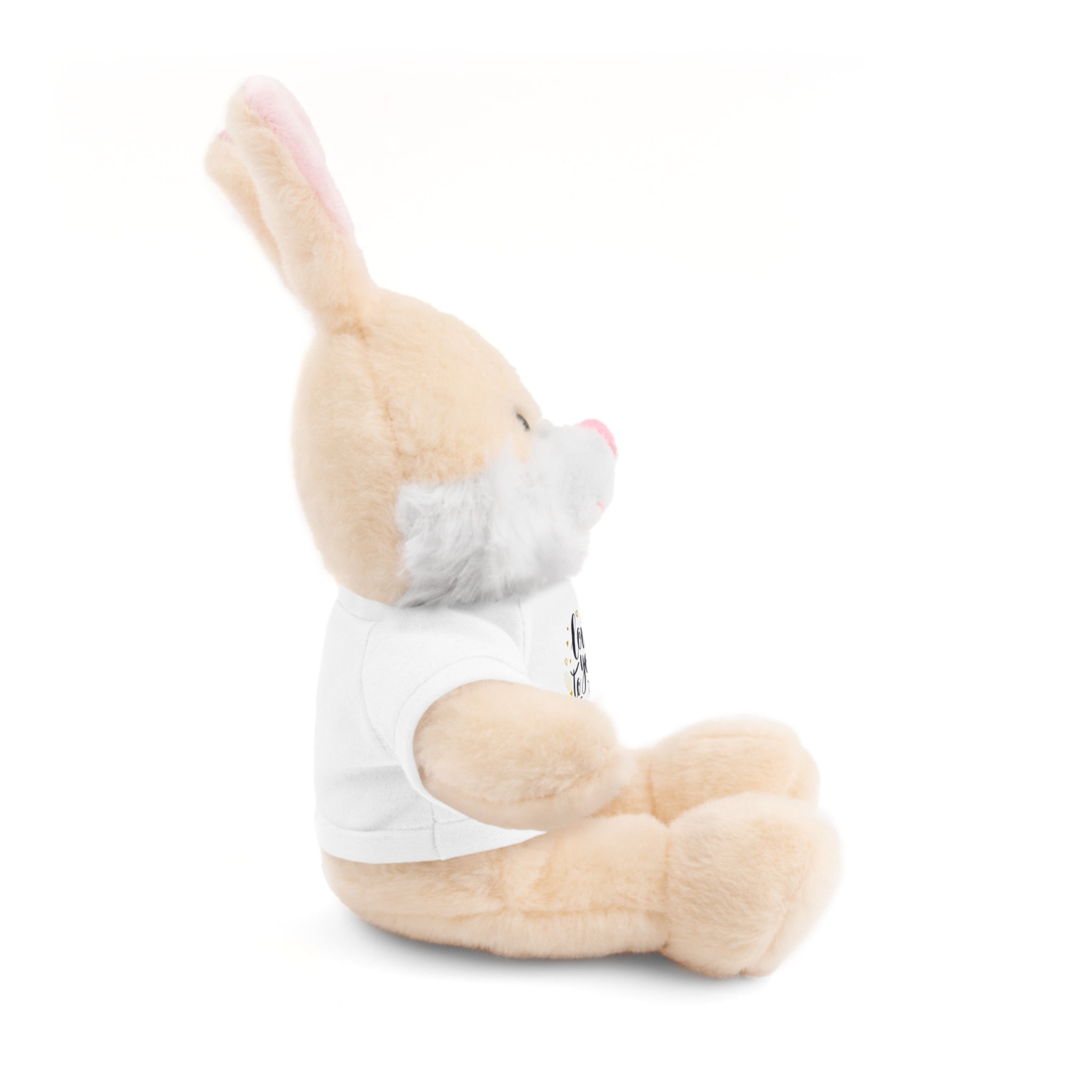 'Love You to the Moon and Back baby stuffed animal