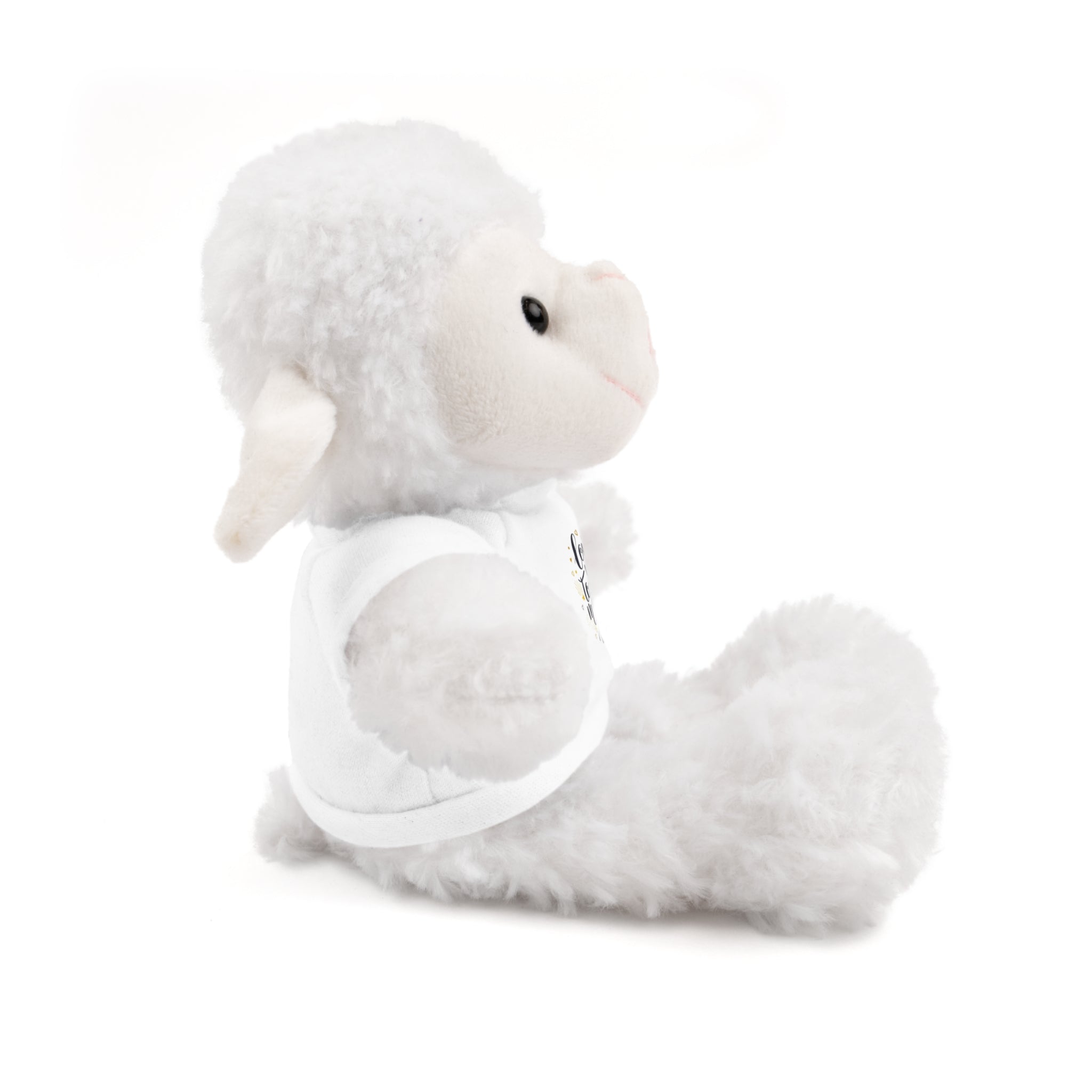 'Love You to the Moon and Back baby stuffed animal